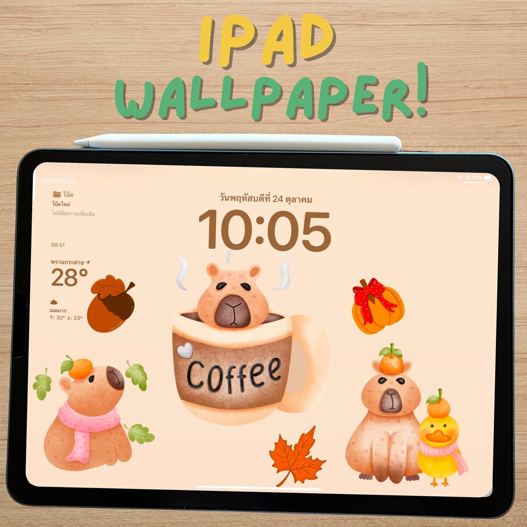 水豚 秋天 ipad 壁纸 - 电脑手机桌布/贴图/App 图示 - 其他材质 