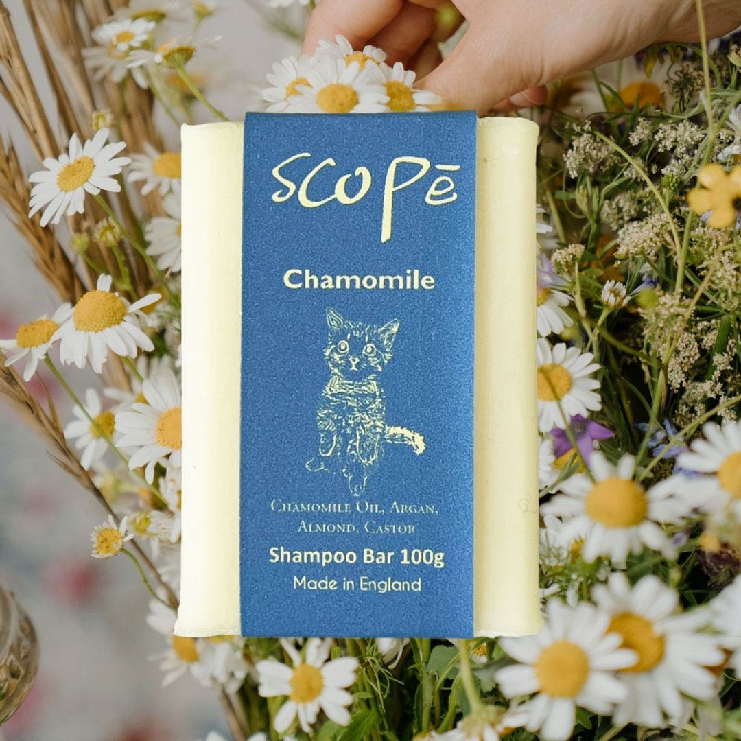 【诗可贝 SCOPē】洋甘菊洗发皂 100g-旅行沐浴 - 洗发用品 - 浓缩/萃取物 