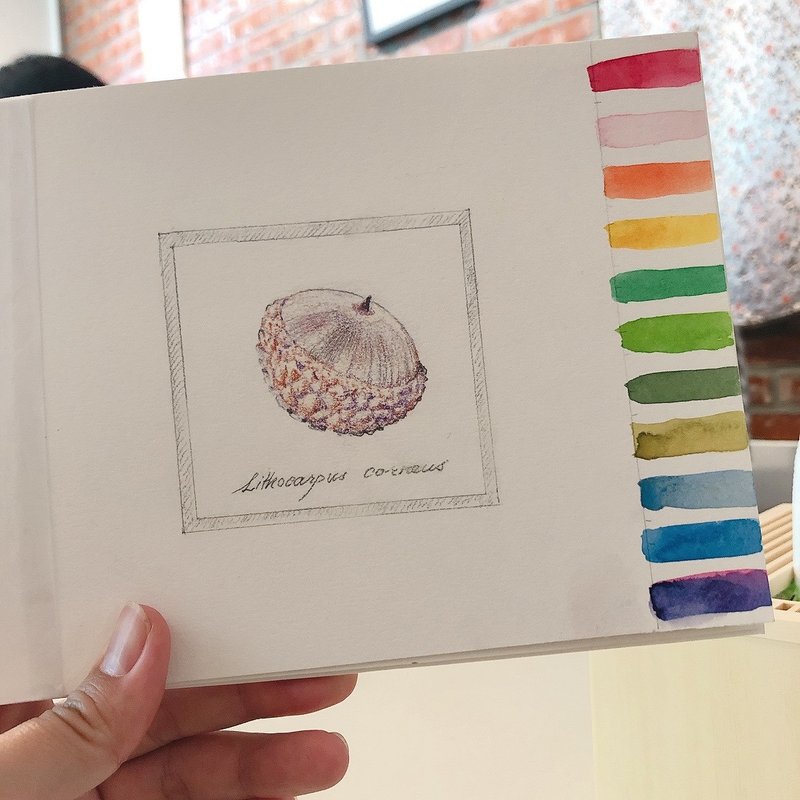 田野调查手帐/ 热压专业绘图纸/ 手缝手帐/ 生物观察与台北散策 - 插画/绘画/写字 - 纸 