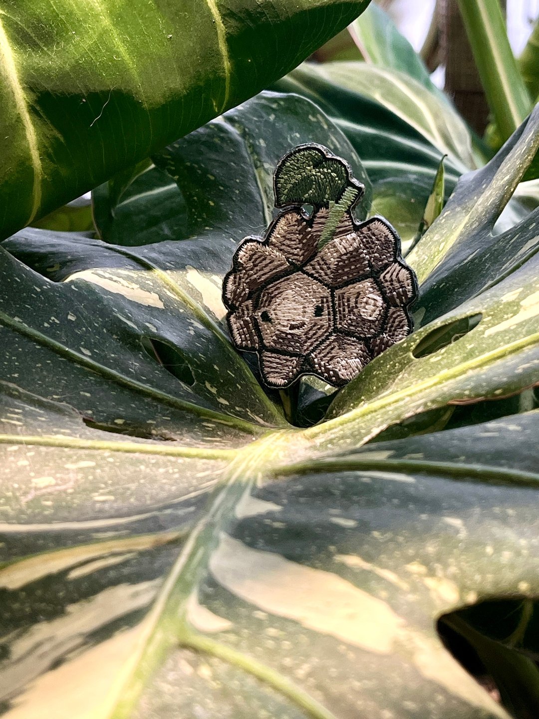 龟甲龙刺绣徽章 块根植物 植物插画 让植物陪伴生活 - 徽章/别针 - 绣线 绿色