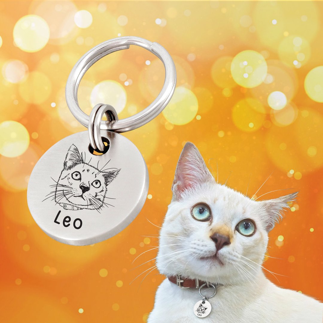 定制猫咪肖像标签 个性化小宠物肖像标签宠物艺术绘画标签 - 项圈/牵绳 - 不锈钢 银色