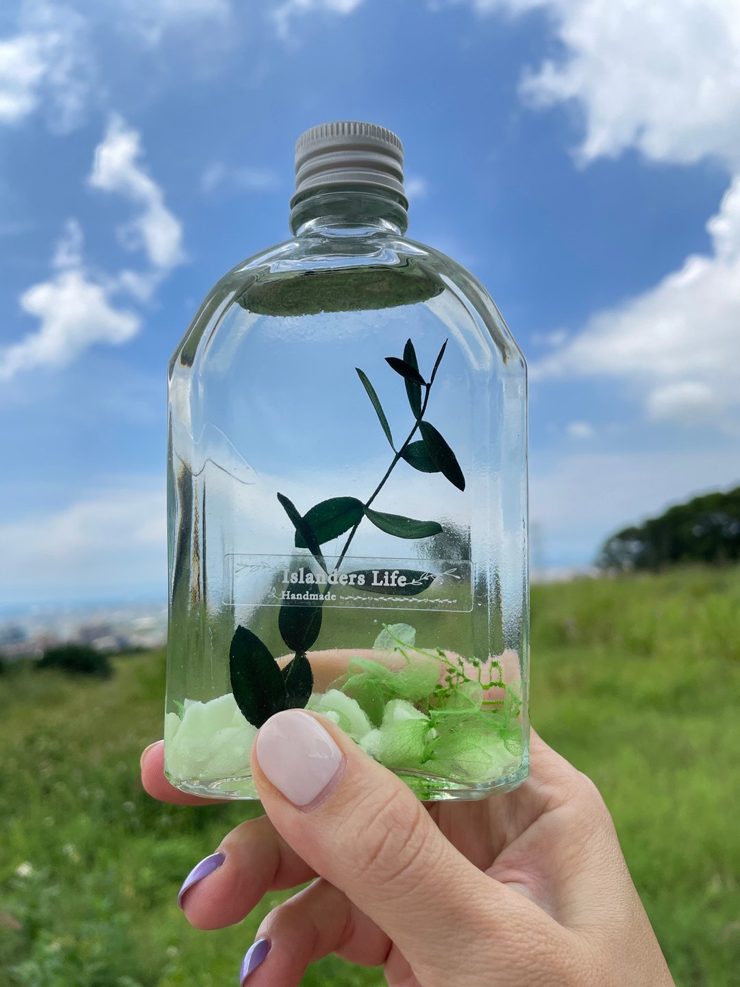 【四时光景】夜光浮游花扩香瓶 办公室居家卧室浴厕扩香香氛礼品 - 香薰/精油/线香 - 植物．花 