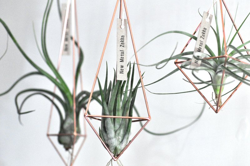 空气凤梨/漂浮挂饰/三角型/玫瑰金色。组合 - 摆饰 - 其他金属 