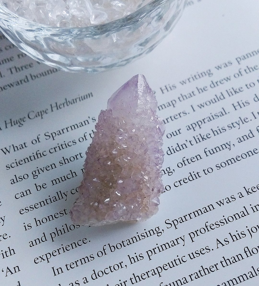Cactus Amethyst 南非产地 仙人掌紫水晶 天然矿石 原矿 - 摆饰 - 其他材质 