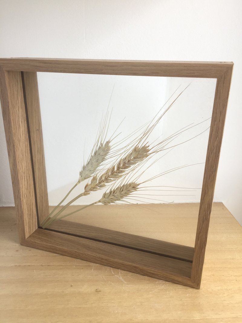 纯自然 干燥植物 压花 画 大画框 玻璃 花 蕨 枫 幸运草 麦 银杏 - 摆饰 - 植物．花 绿色