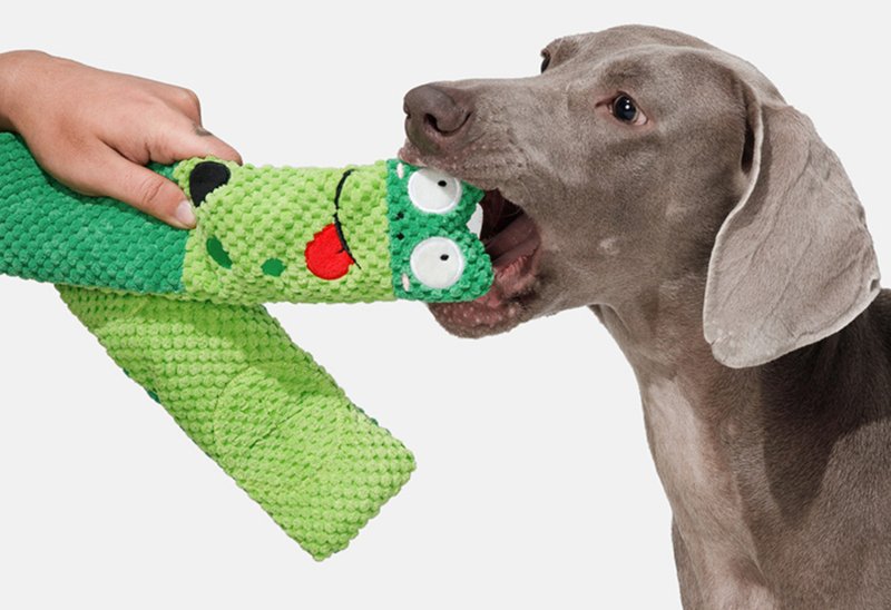 【青蛙-藏食玩具】中小型犬/耐咬磨牙宠物玩具 - 玩具 - 其他材质 绿色