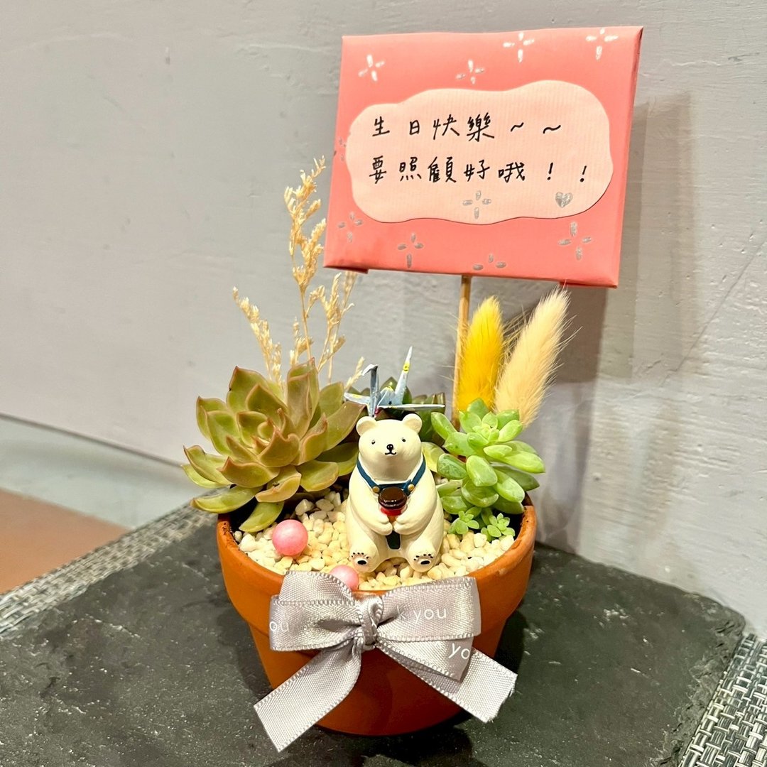 台中多肉组盆 多肉植物 日式枯山水 放松小白熊 疗愈盆栽 生日礼 - 植栽/盆栽 - 植物．花 绿色