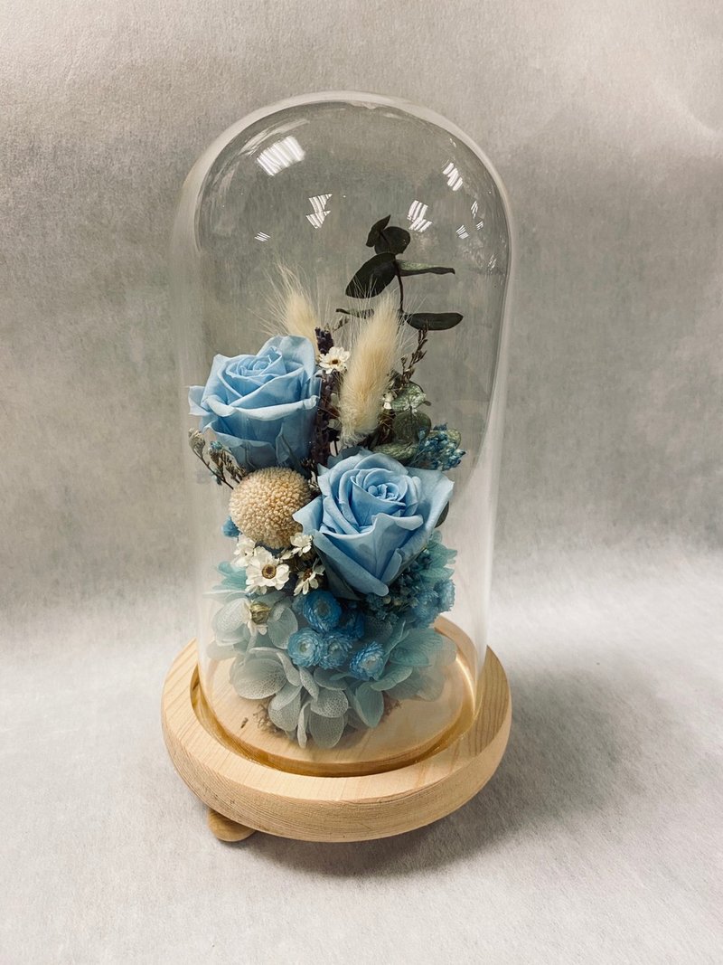 珍藏浪漫永生微景玻璃盅 不凋花课程 | 生日 毕业首选 情人节 - 植栽 - 植物．花 