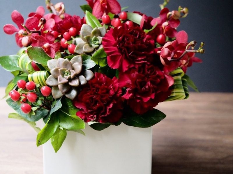 M01 〔时尚妈妈〕红色康乃馨多肉白方盆 - 植栽/盆栽 - 植物．花 红色