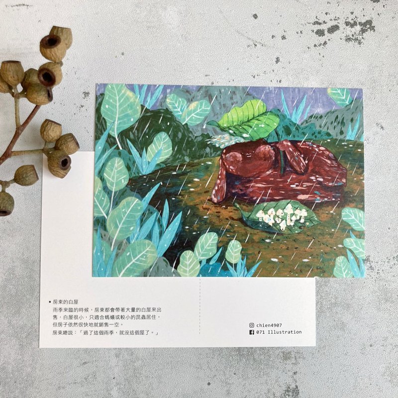 房东的白屋 插画明信片 - 卡片/明信片 - 纸 白色