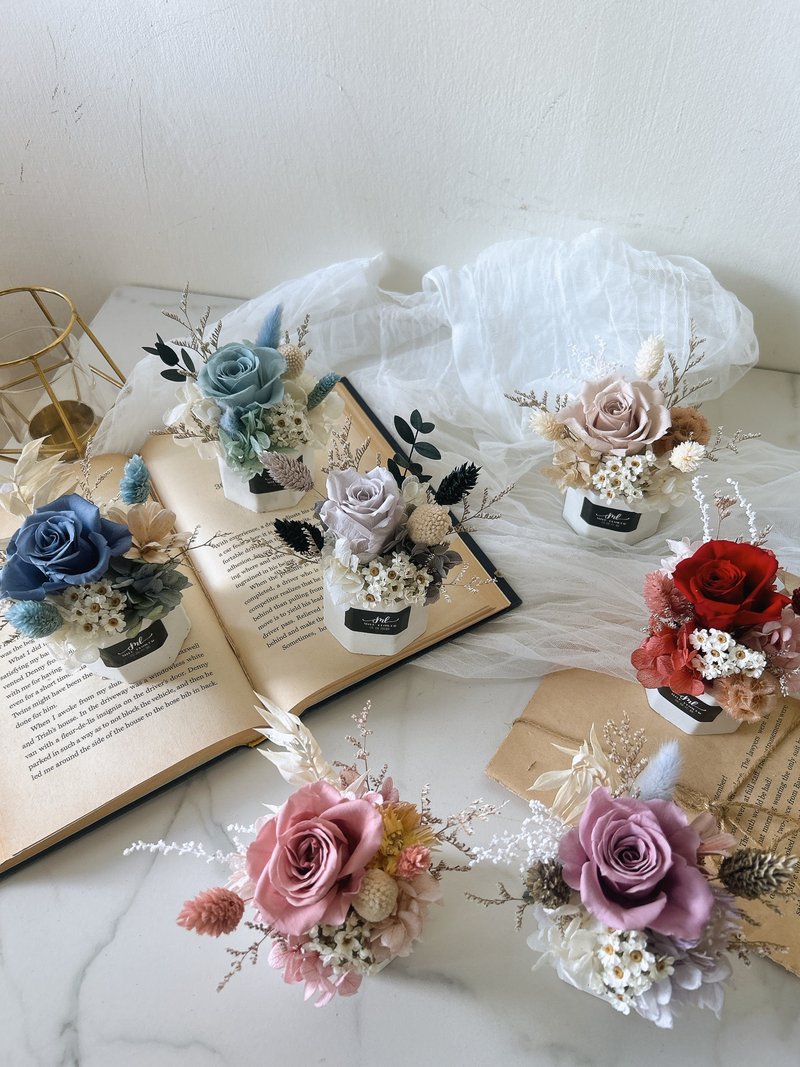 薰香石小盆花 - 干燥花/捧花 - 植物．花 多色