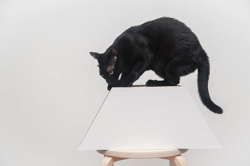 疯窝-梯形(白) 手作/猫抓板/猫玩具 - 玩具 - 纸 白色