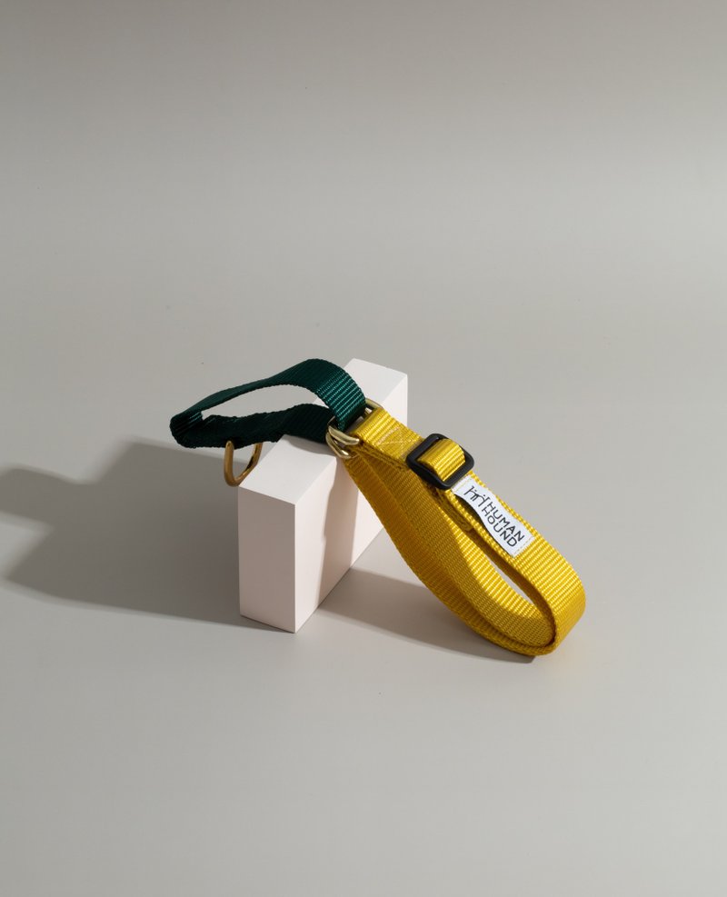 Martingale Collar - Yellow x Forest Green - 项圈/牵绳 - 其他材质 多色