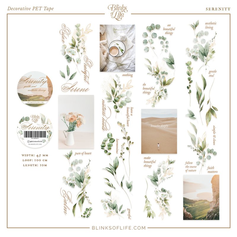 Cozy Days Vol. 01 - 雾面PET胶带 (透明离型纸) - 纸胶带 - 塑料 