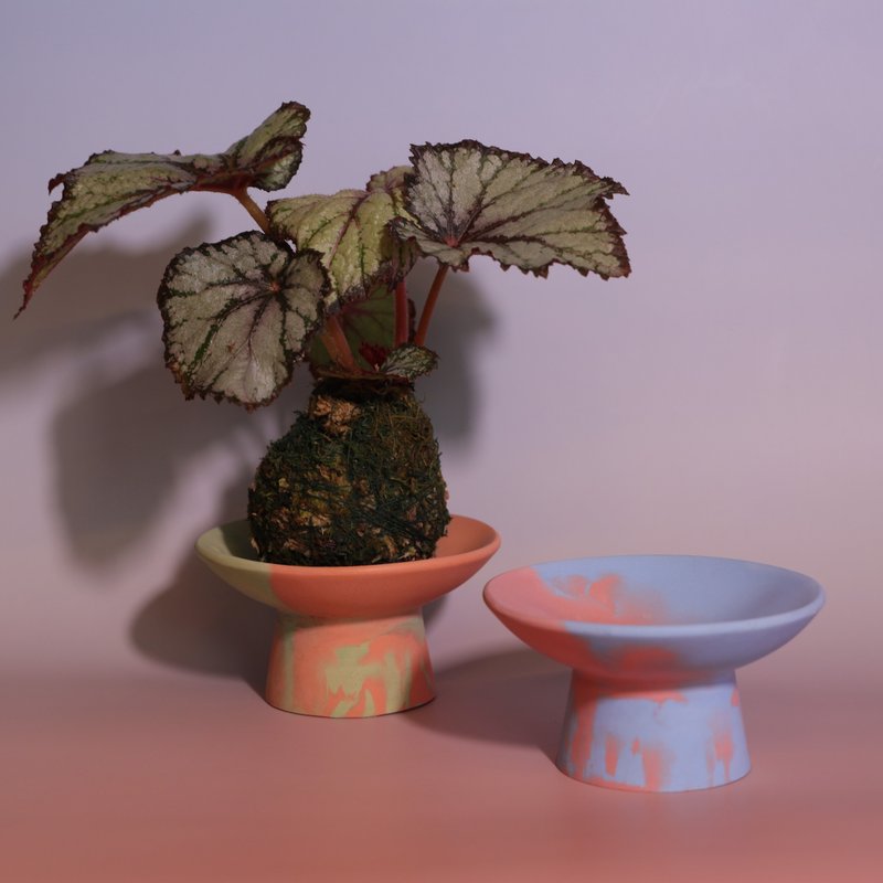 Artpartment 小钵盆 | 手作 | 首饰盘 | 苔球盆 - 摆饰 - 水泥 多色