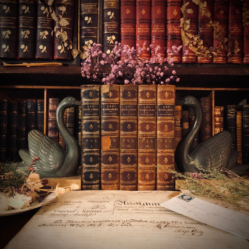 1888年百年法国着名长篇小说Les Misérables 悲惨世界英文版全集 - 其他 - 纸 白色