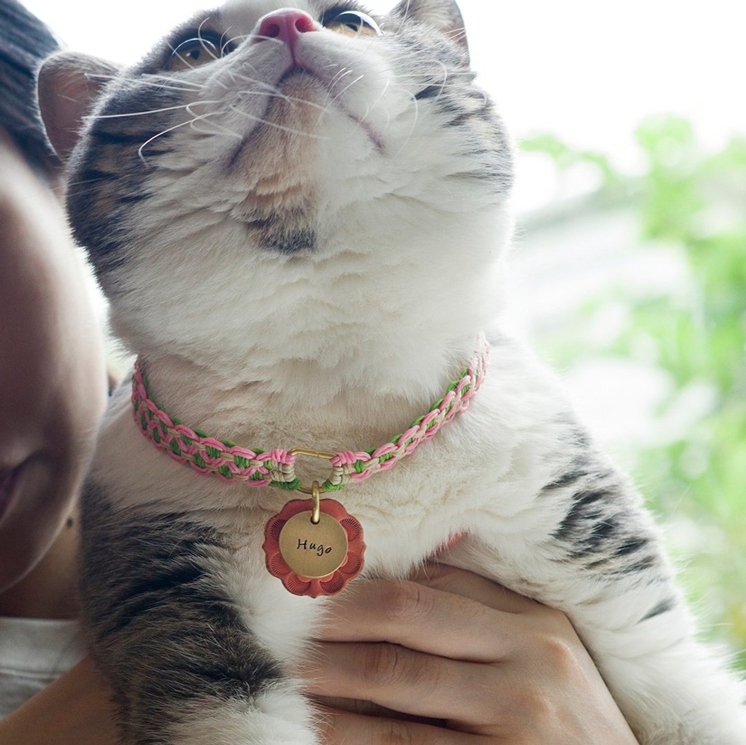 手工编织宠物狗狗猫猫项圈定制化防丢身份证 - 项圈/牵绳 - 棉 