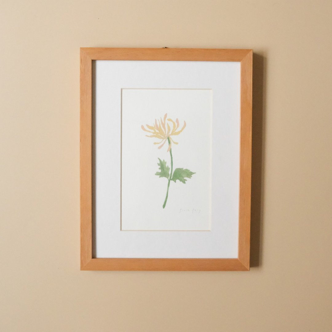 植物插画-菊 / 挂画 / 实木表框 - 海报/装饰画/版画 - 纸 