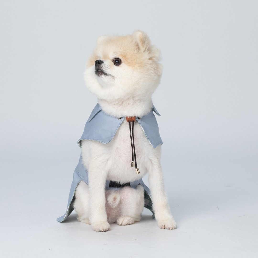 Pawfect-Fit! Trench Coat 宠物风衣 (XS) - 衣/帽 - 棉 蓝色