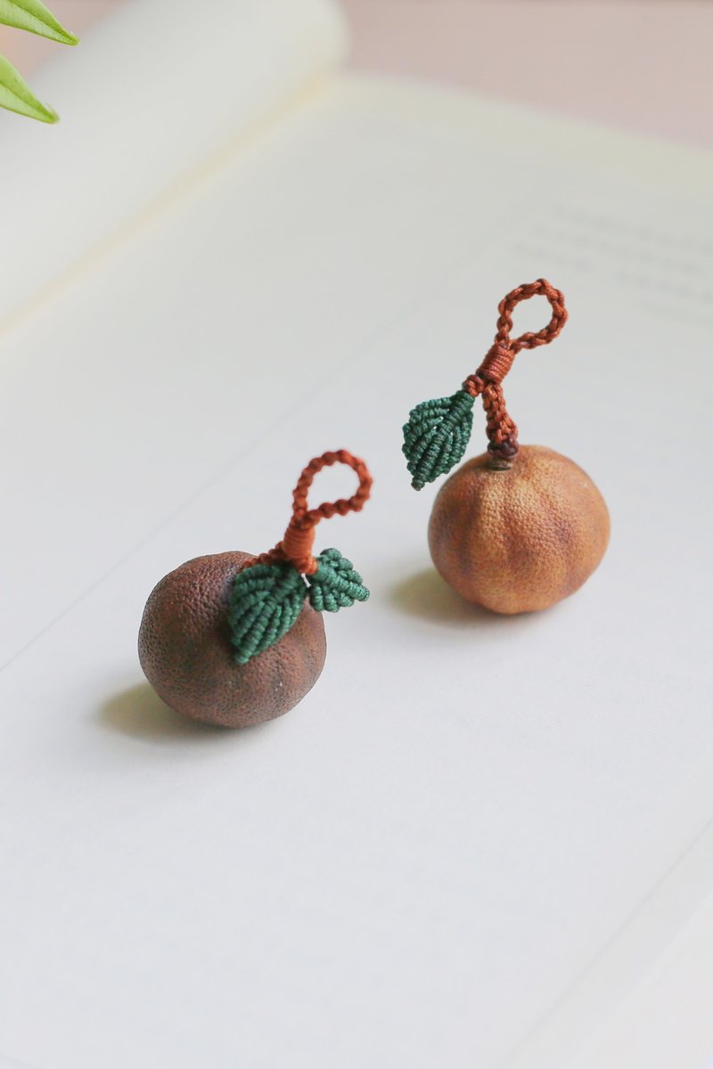 No.8-原創手作 & 植物果壳 | 野桔子 编绳 挂饰 项链 | 一物一图 - 吊饰 - 植物．花 咖啡色