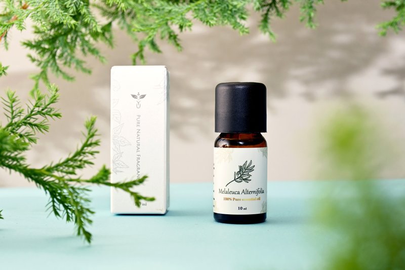 澳洲茶树 单方精油 - 其他 - 精油 