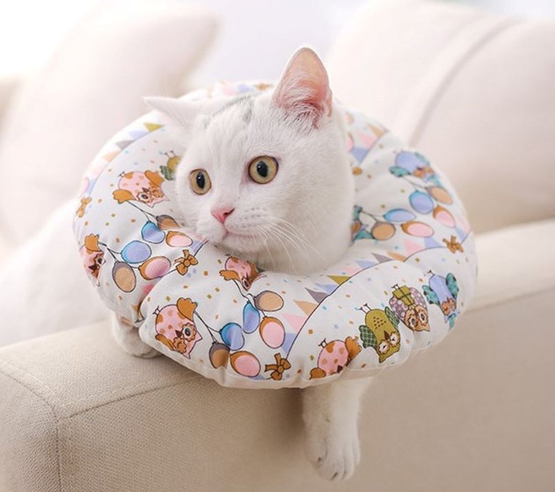 防舔咬项圈-防水可拆洗设计 - 清洁/美容 - 防水材质 