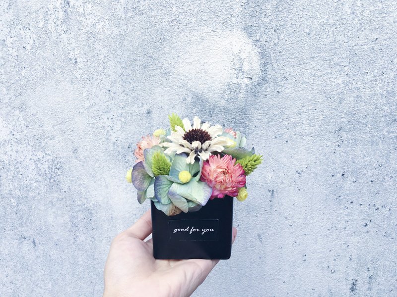 【好花】黑色盆器干燥桌花 绣球干燥花礼 开幕桌礼 居家摆饰(限量) - 植栽/盆栽 - 植物．花 