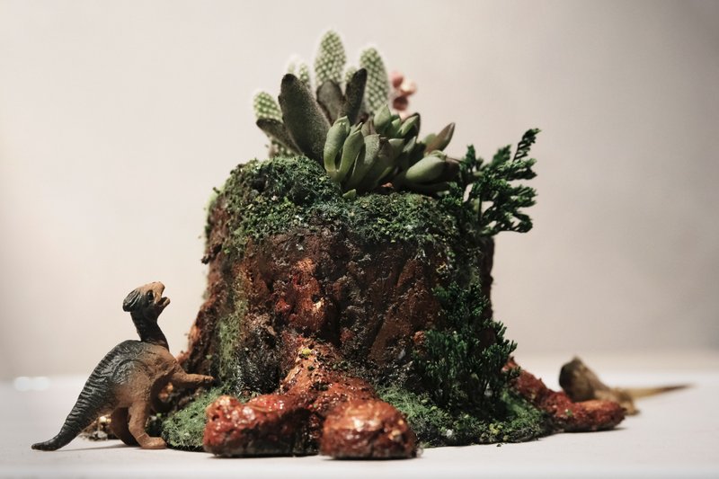 泥塑小山盆 多肉水泥盆栽手作课程 水泥雕塑创作 龙年 中秋 中秋 - 植栽 - 水泥 