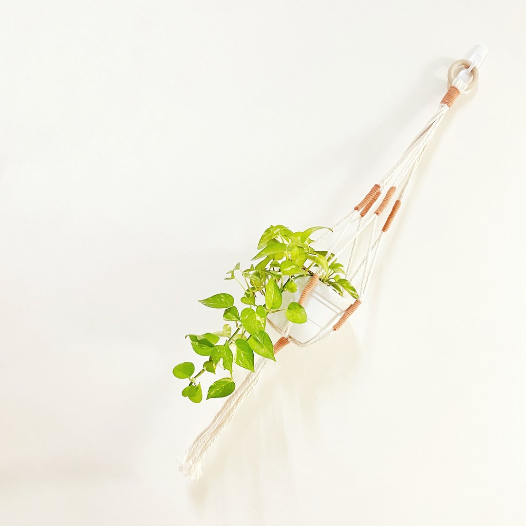 Macrame 植物吊篮【Macrame Plant Hanger】 - 摆饰 - 棉 
