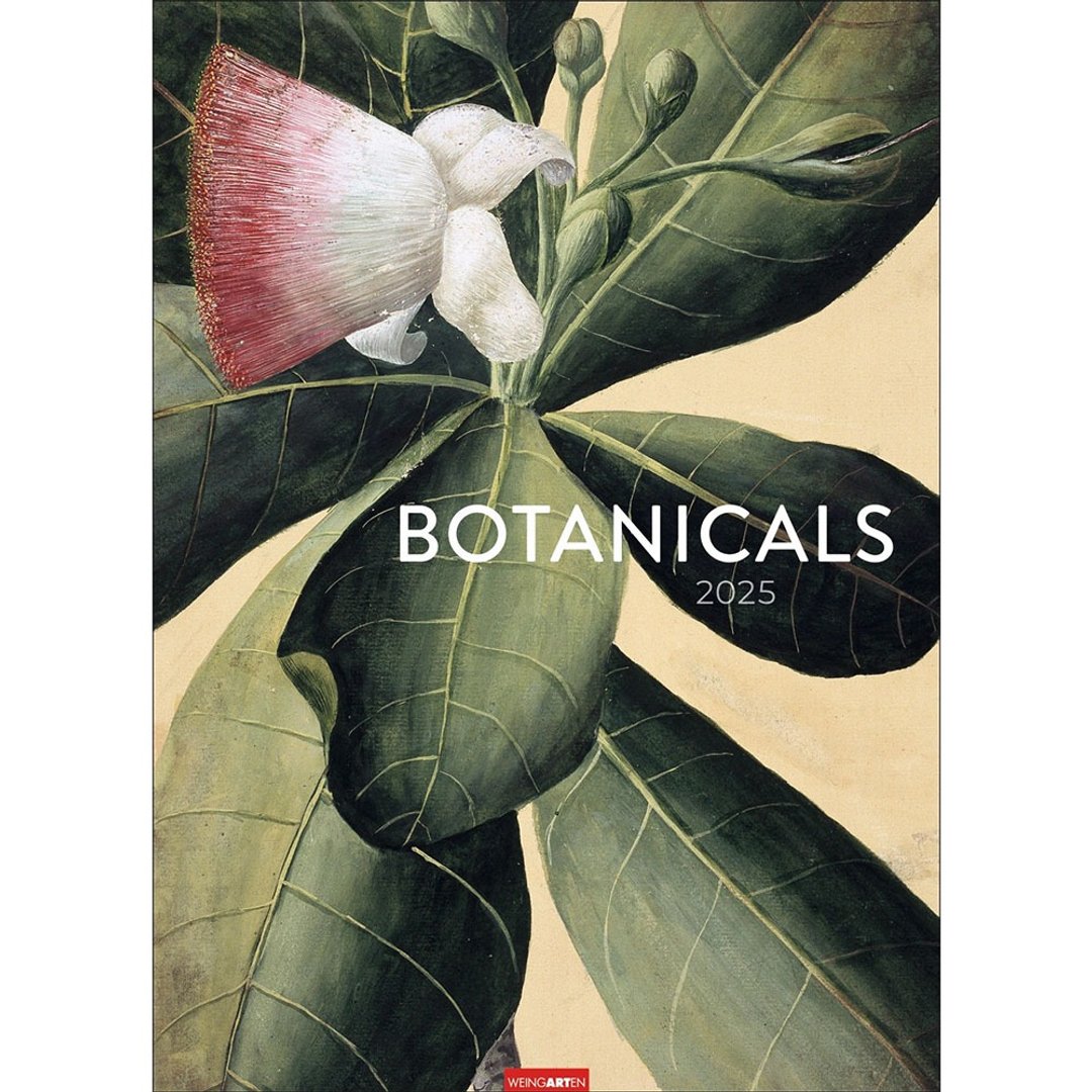 【植物图鉴】月历 - 年历/台历 - 环保材料 多色
