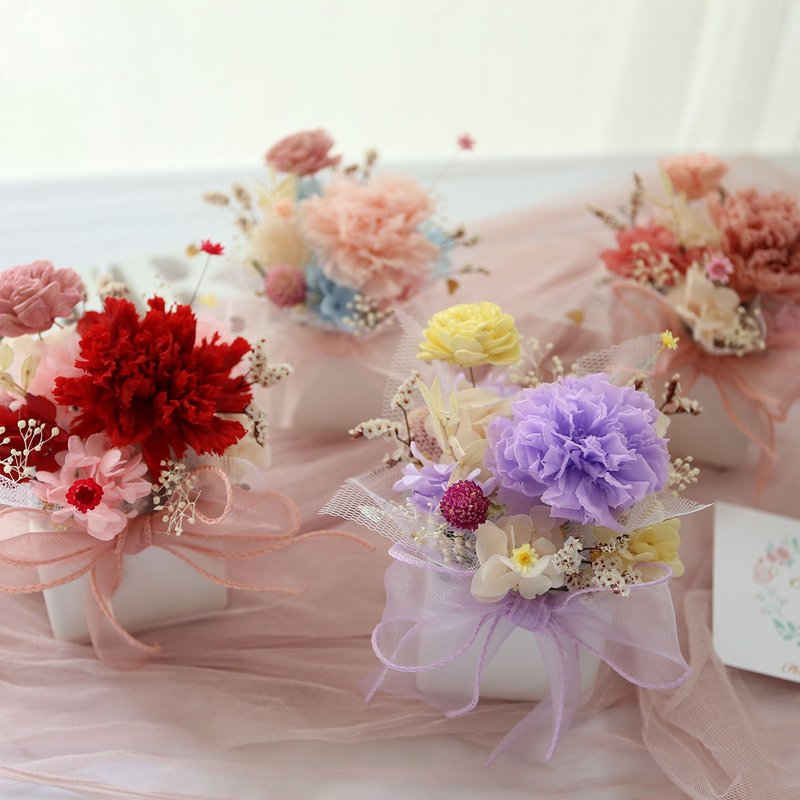 T26康乃馨小桌花/母亲节礼物/母亲节花束/康乃馨花束/永生花推荐 - 干燥花/捧花 - 植物．花 多色