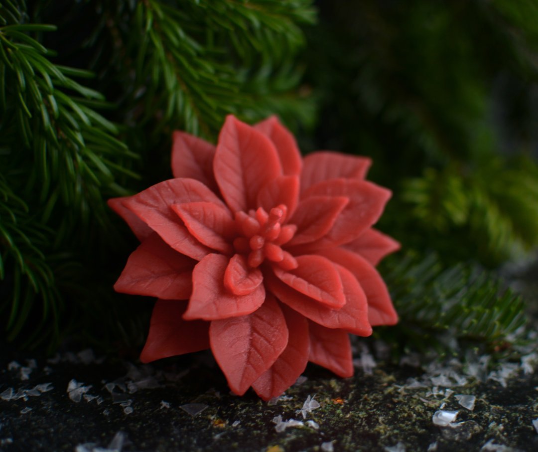 Christmas flower candle, Winter holiday candle, poinsettia candle - 蜡烛/烛台 - 蜡 多色