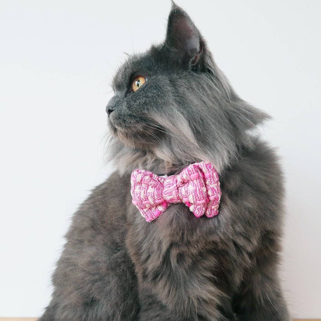 Luna Tweed Bowtie for Pets - 衣/帽 - 其他材质 多色