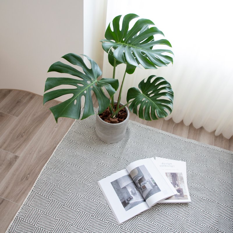 【室内盆栽】龟背芋 中 开幕盆栽 盆栽 升迁 乔迁 发财树 - 植栽/盆栽 - 植物．花 绿色