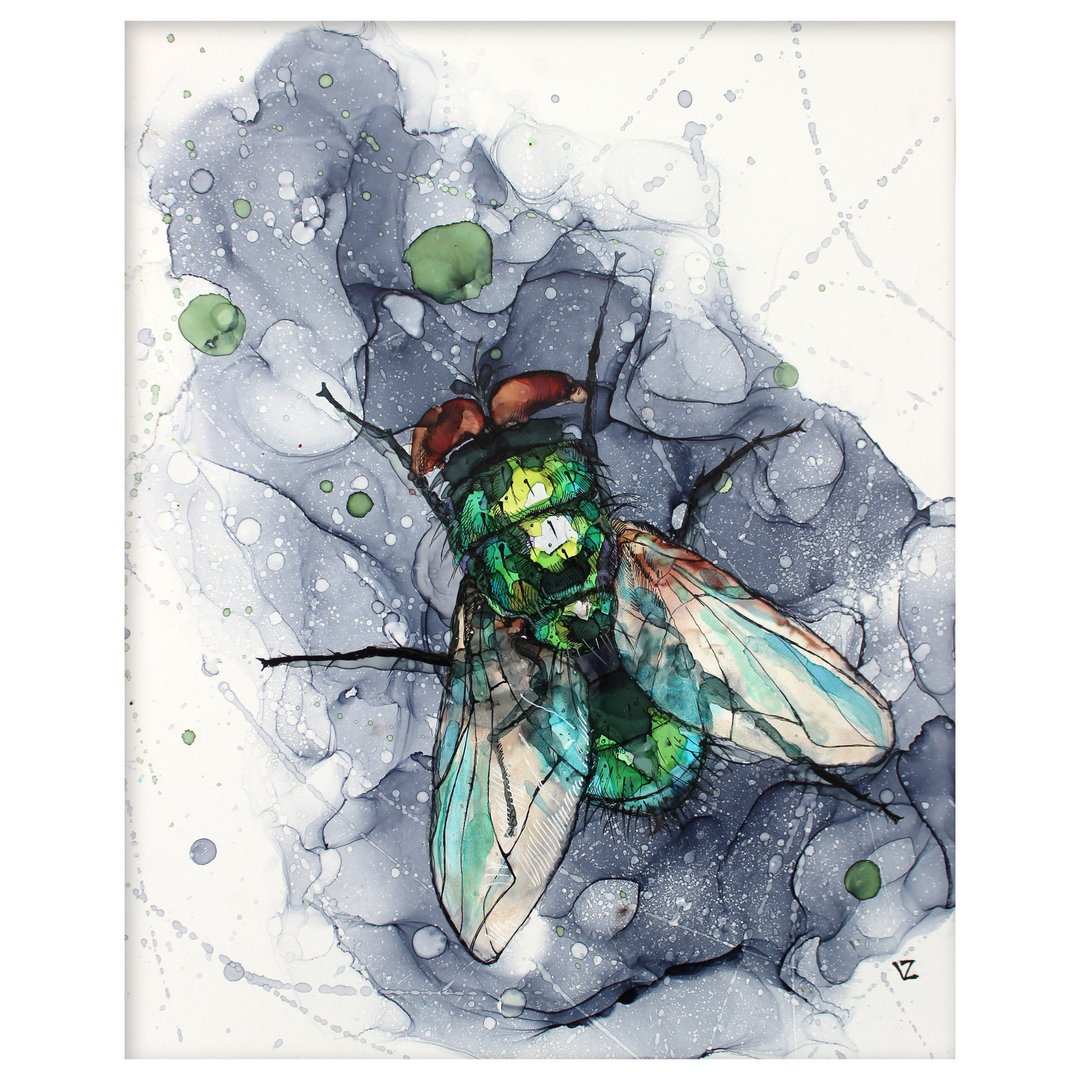 送给朋友的有趣礼物 苍蝇画像昆虫40*50cm - 墙贴/壁贴 - 其他材质 多色