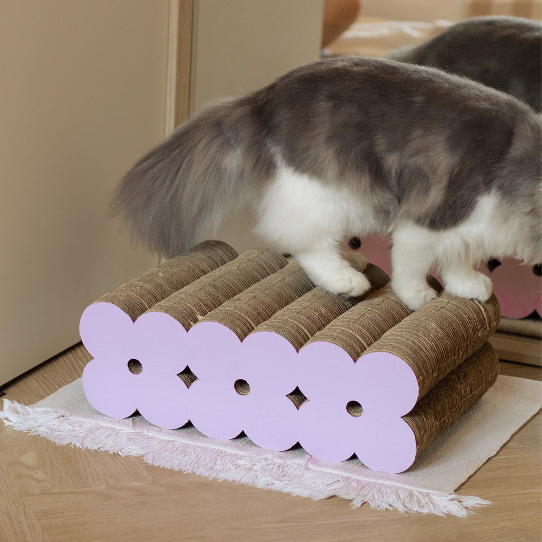 FLORA Lilac 猫抓板 - 玩具 - 纸 紫色