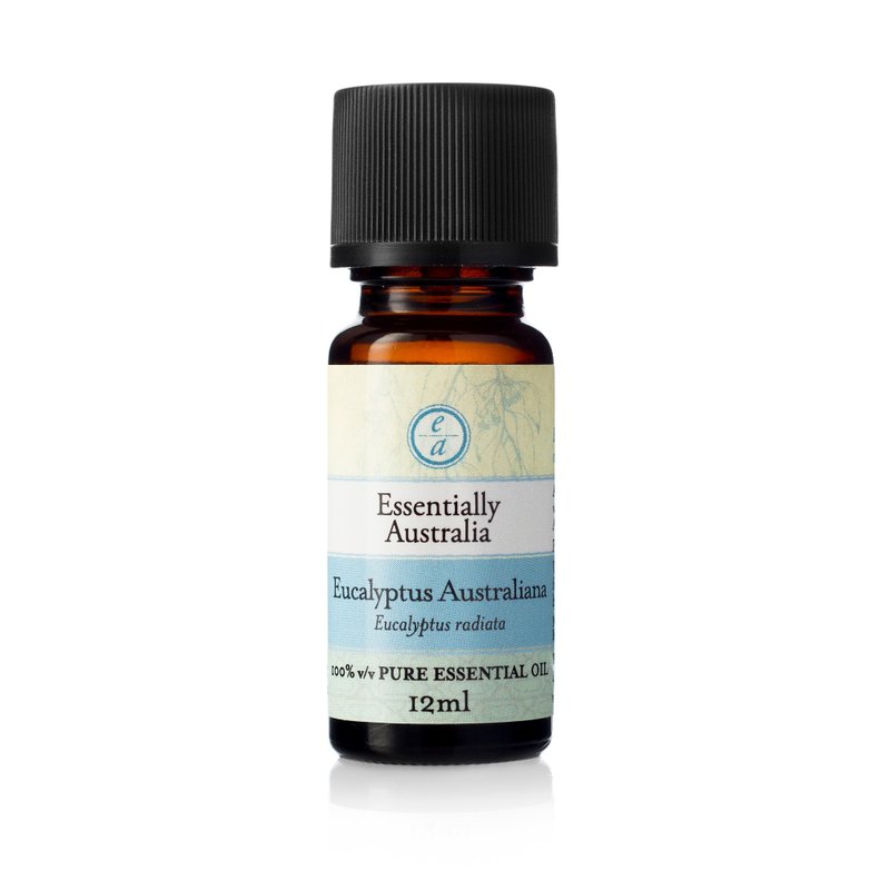 【防疫精油】澳洲尤加利精油 Eucalyptus Australiana - 香薰/精油/线香 - 植物．花 蓝色