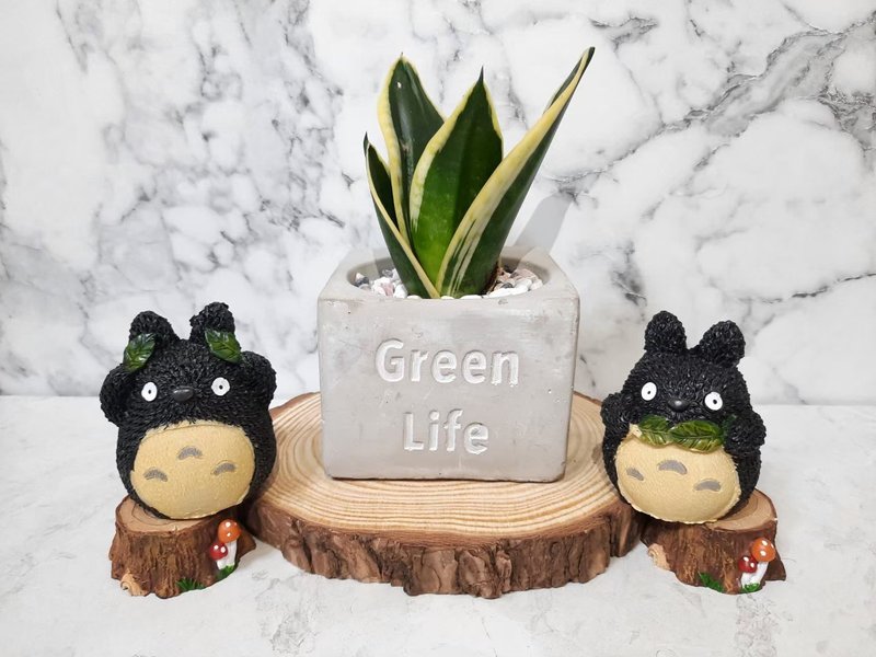 虎皮兰 虎尾兰 水泥系列 简约 质感 时尚 - 植栽/盆栽 - 水泥 灰色