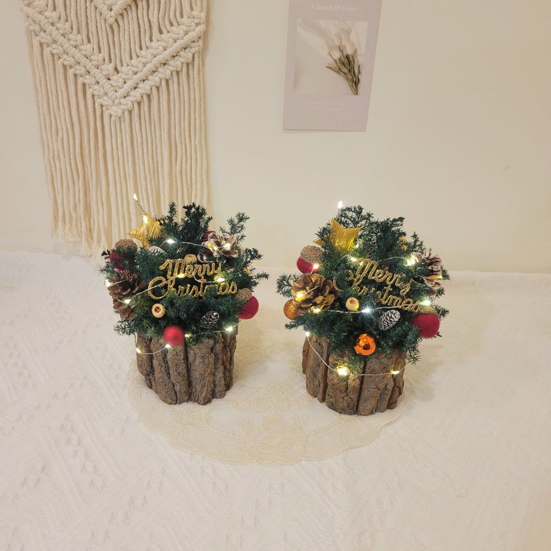 永生雪松圣诞小桌树_摆饰_附灯_圣诞礼盒 - 干燥花/捧花 - 植物．花 