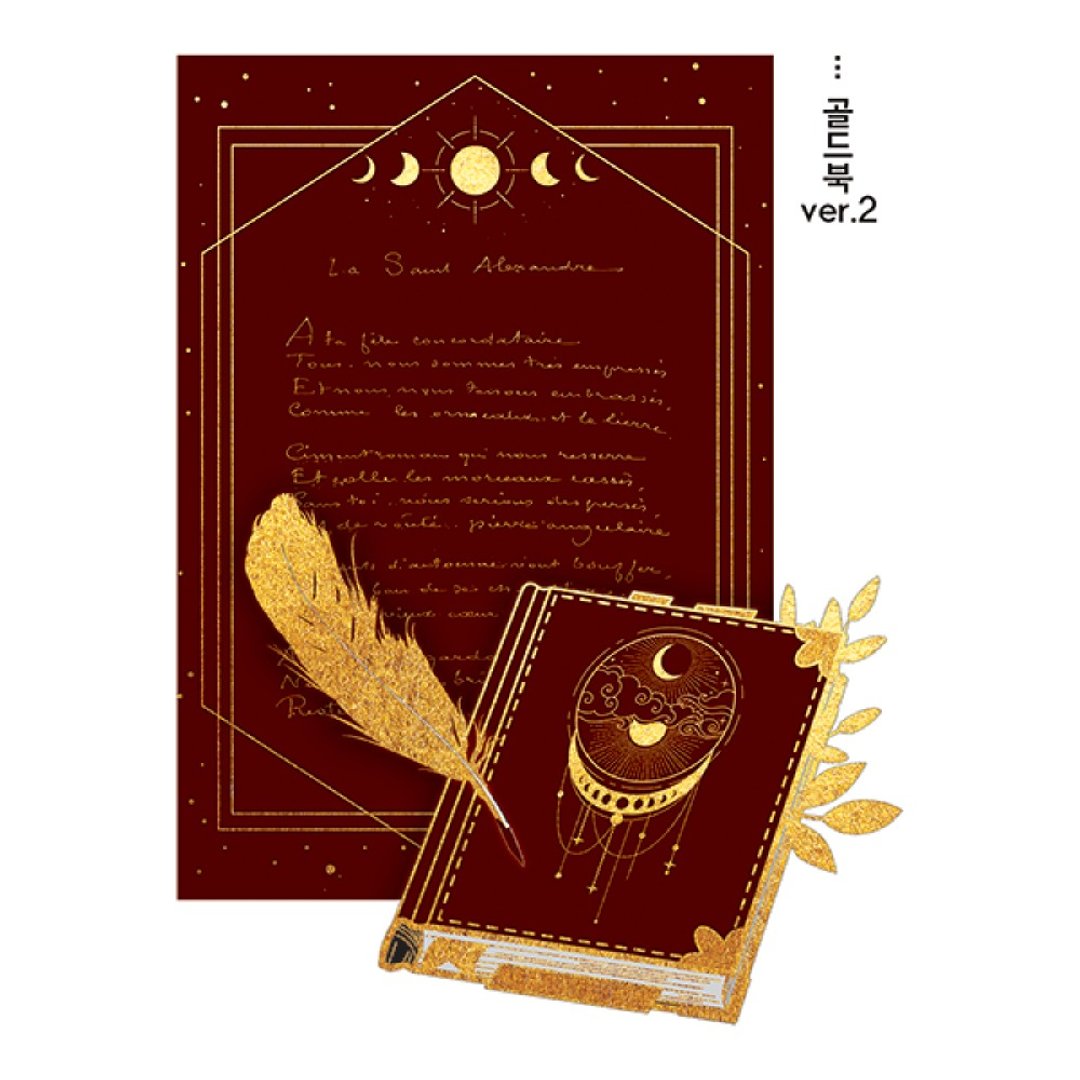 7种 - 金书贴纸 (honne market) 黑色浣熊 - 贴纸 - 纸 多色