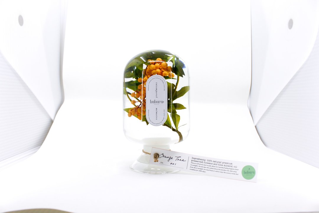 + HUHURU + 植光之境花艺瓶－Orange Tree 桔树【情人节礼盒】 - 植栽/盆栽 - 植物．花 橘色
