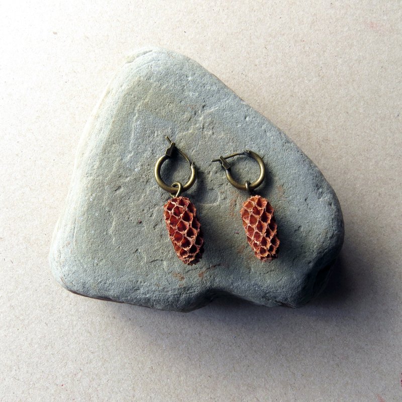 <叶里开花>No.45 植物界珠宝 果实小耳环/木麻黄/青古色圆形小环 - 耳环/耳夹 - 植物．花 