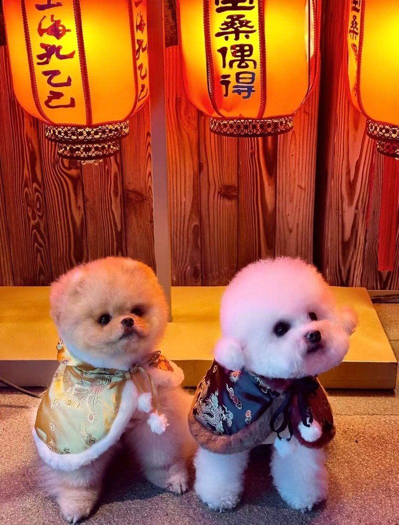 icicecream猫猫狗狗国风斗篷 - 衣/帽 - 丝．绢 咖啡色