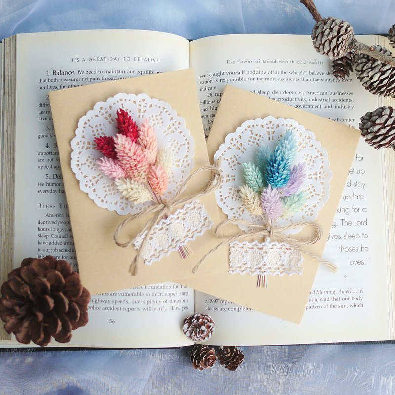 伊登花室 混色加那利 干燥花 手工卡片 单份 贩售 - 卡片/明信片 - 植物．花 多色