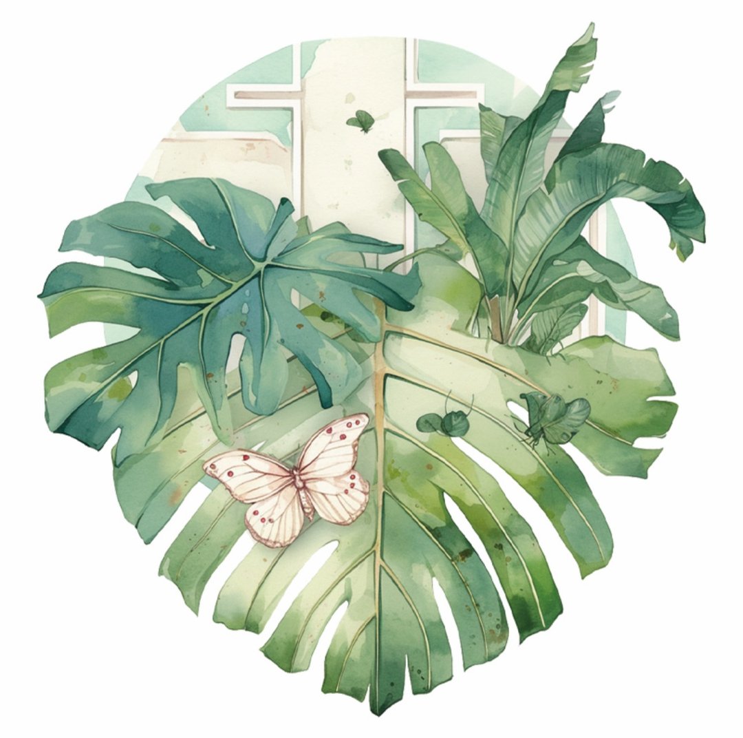 芭蕉叶梦 PET 纸胶带 贝壳光 - 纸胶带 - 其他材质 多色