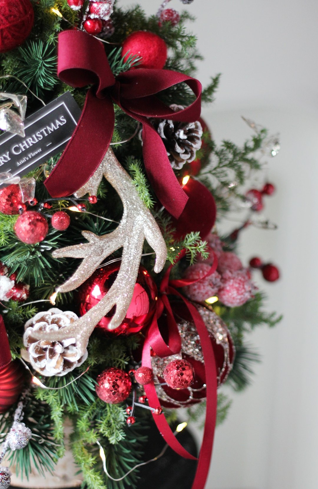 雪松圣诞树 / 升级成【红色圣诞】【金色礼赞】装饰品 - 植栽/盆栽 - 植物．花 多色
