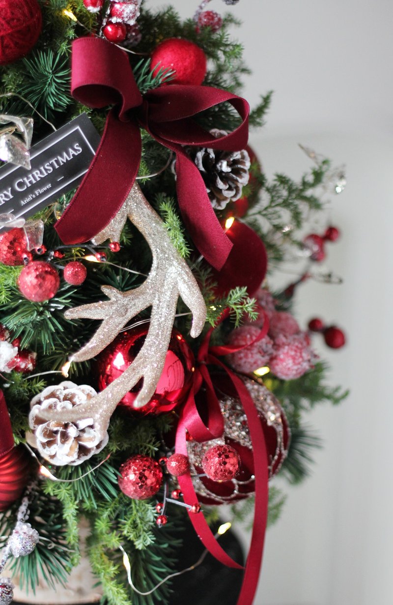 雪松圣诞树 / 升级成【红色圣诞】【金色礼赞】装饰品 - 植栽/盆栽 - 植物．花 多色