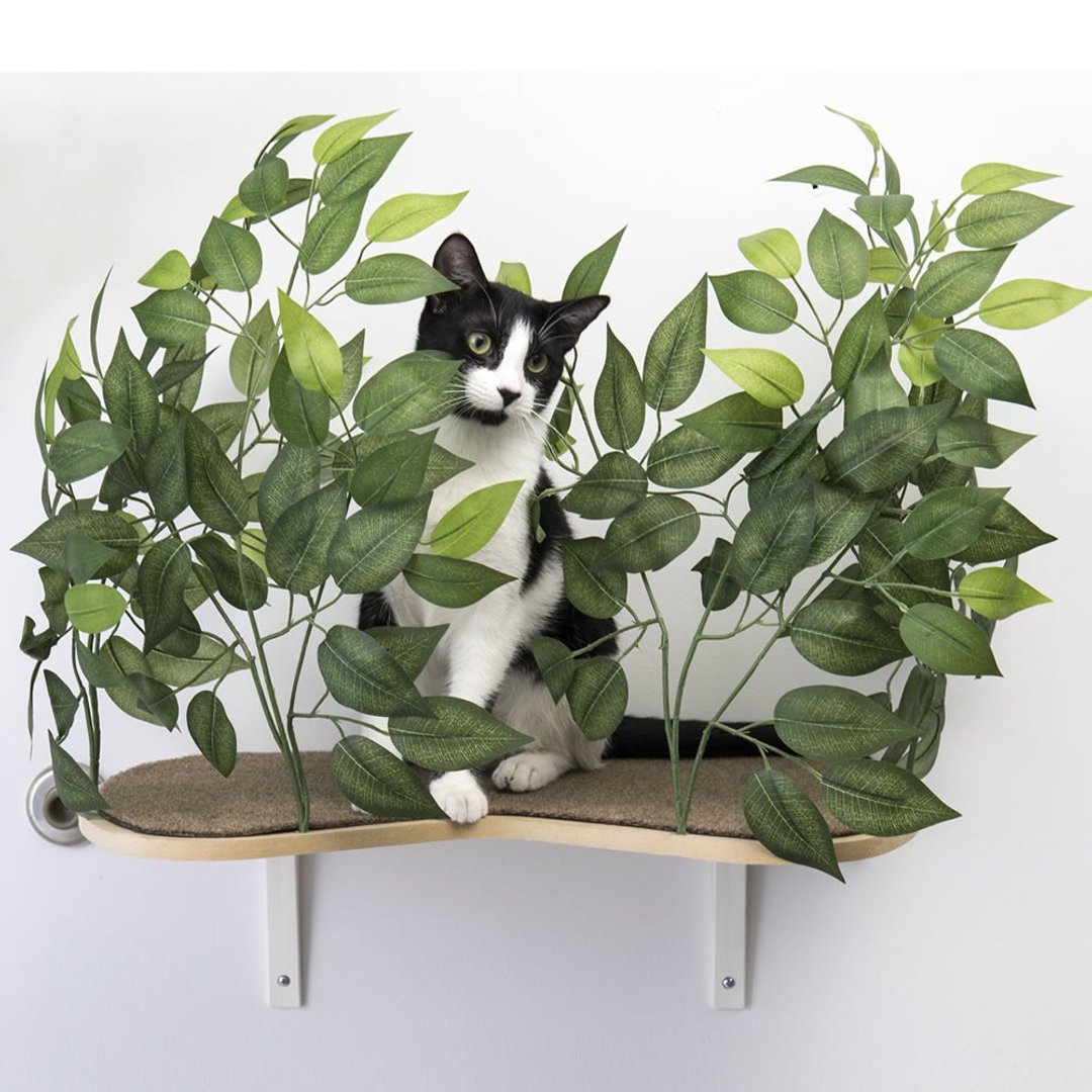 美国On2Pets 栩栩如生猫树跳台-壁挂型(白色) 一组有两座 - 玩具 - 木头 绿色