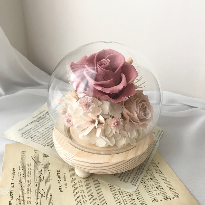 干燥玫瑰色圆形夜灯玻璃钟罩 附透明盒 情人节 生日 周年 升迁 毕 - 干燥花/捧花 - 植物．花 多色