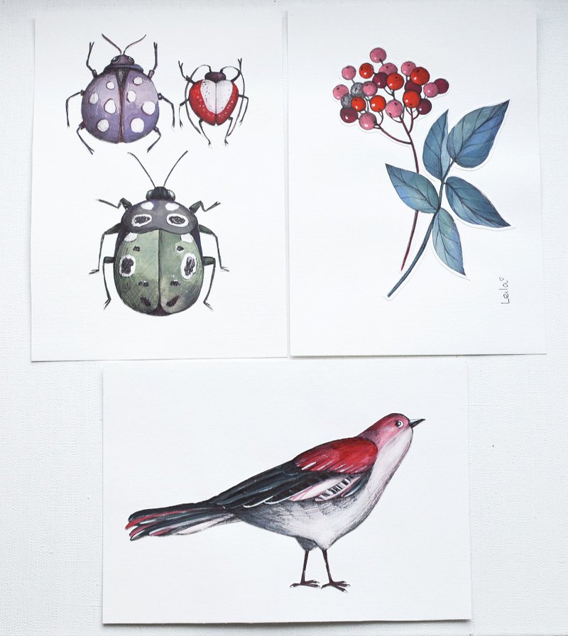 3 件套原创水彩画现代绘画花鸟虫 21x15 厘米 - 插画/绘画/写字 - 纸 红色
